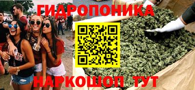 СК Гагарин