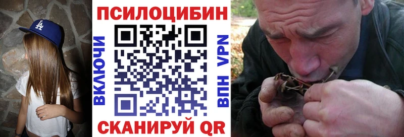Псилоцибиновые грибы прущие грибы  сайты даркнета официальный сайт  Муром  blacksprut вход 