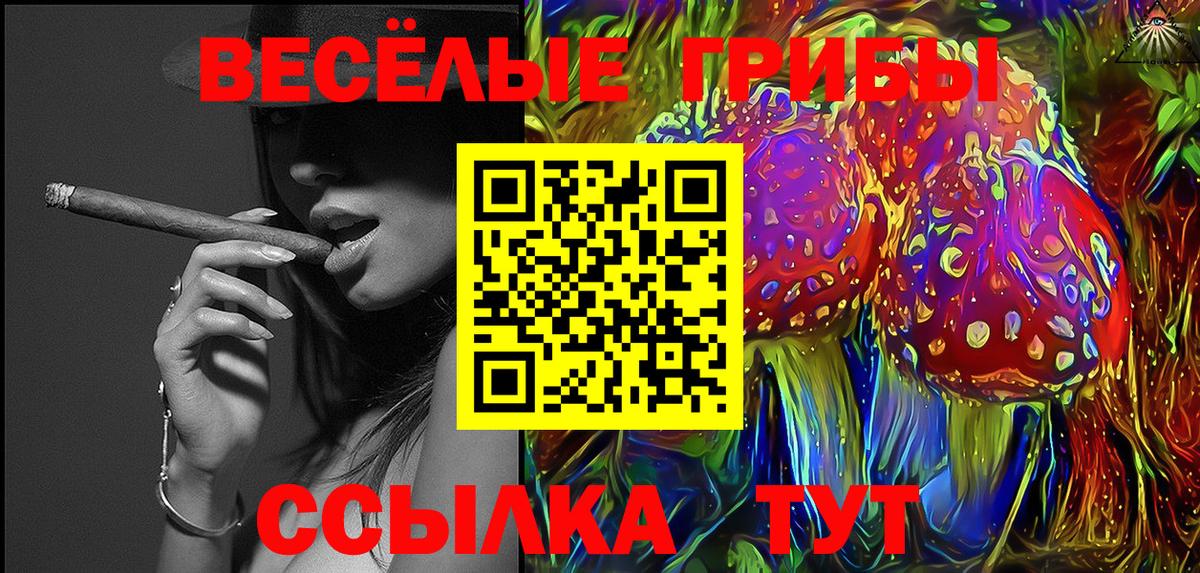 Муром  Псилоцибиновые грибы GOLDEN TEACHER  Вход с VPN 